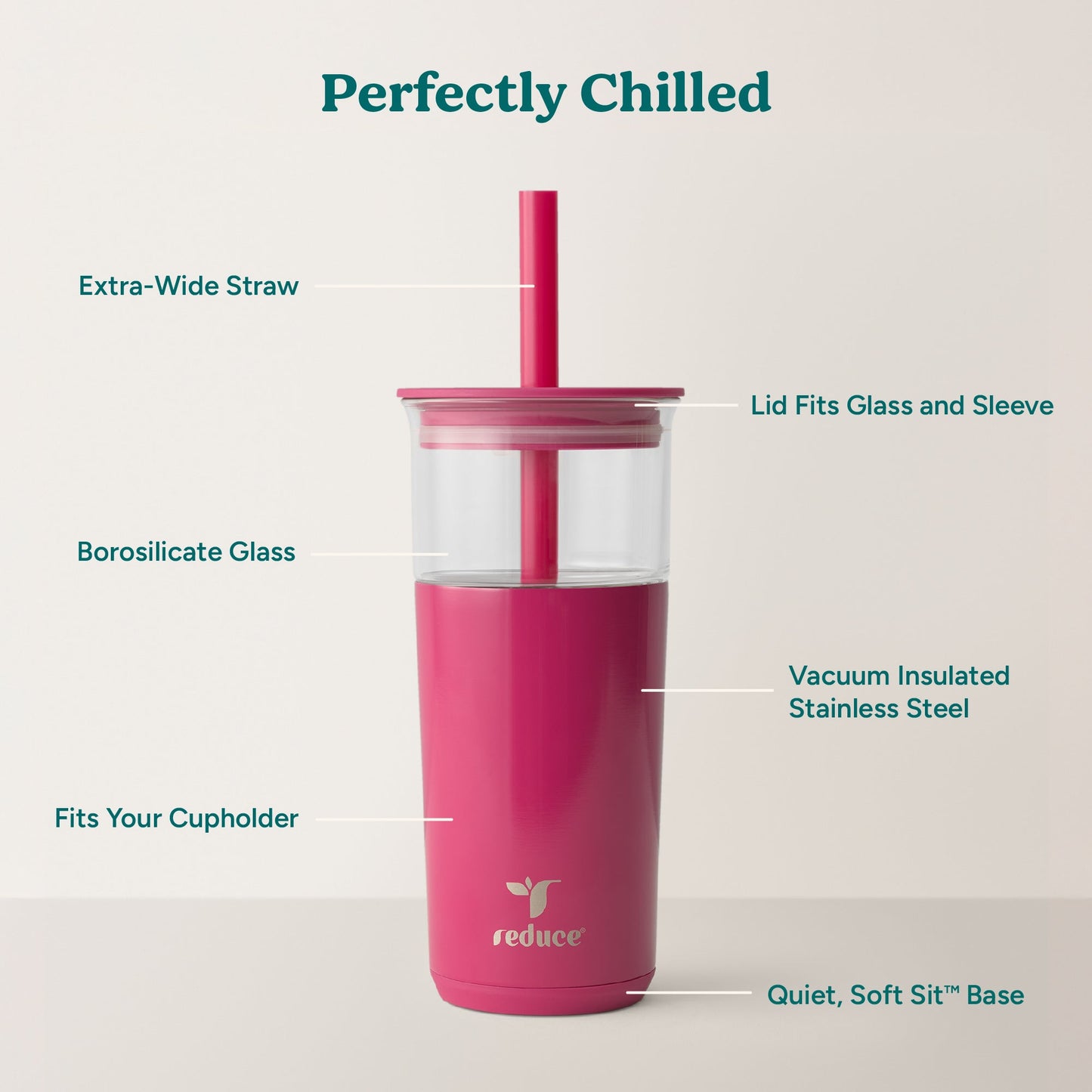 aspen-20-oz-c7 Aspen_Dragonfruit_PDP_Infographic2.jpg