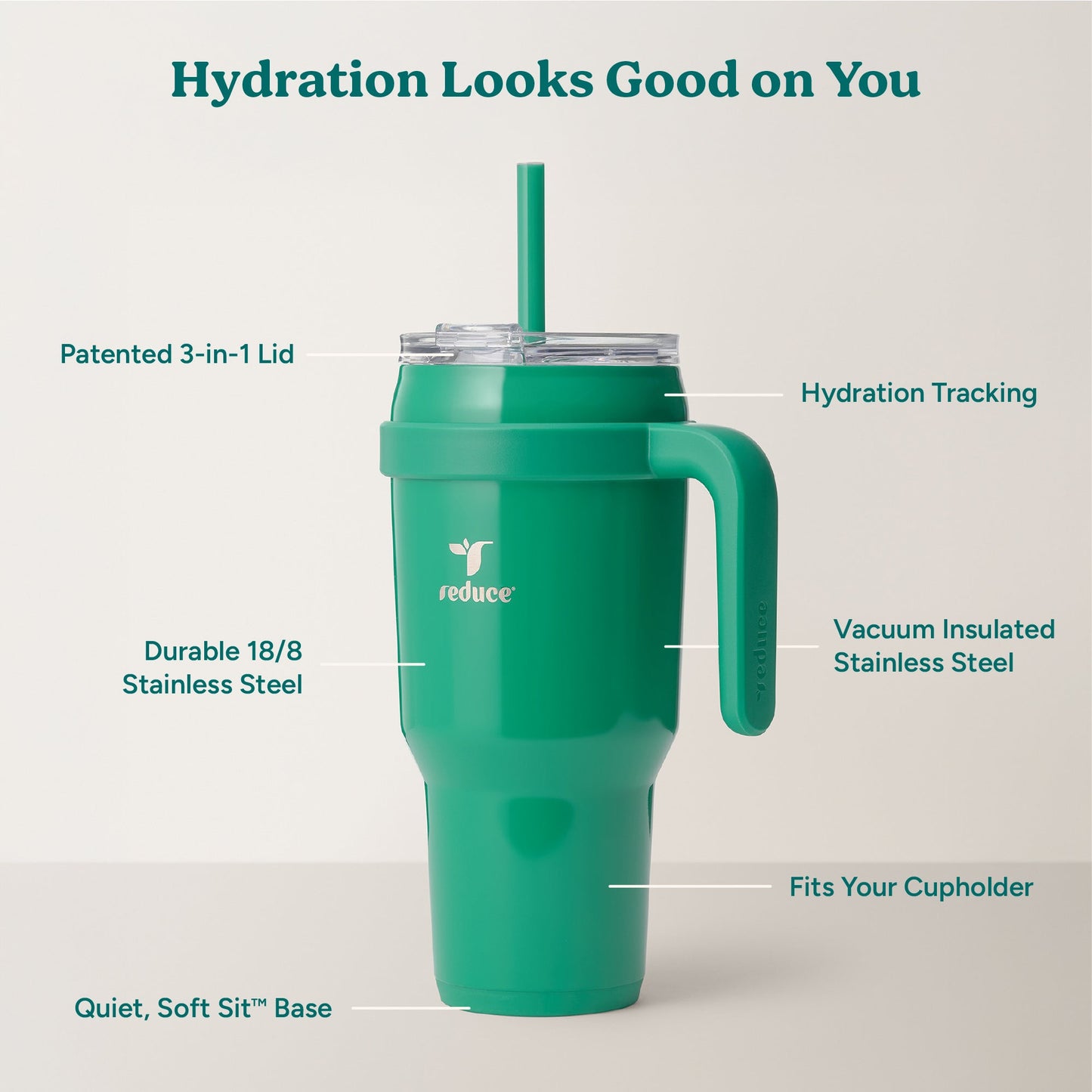 cold1-40-oz-f7 Cold1_40oz_PalmLeaf_Infographic_2.jpg