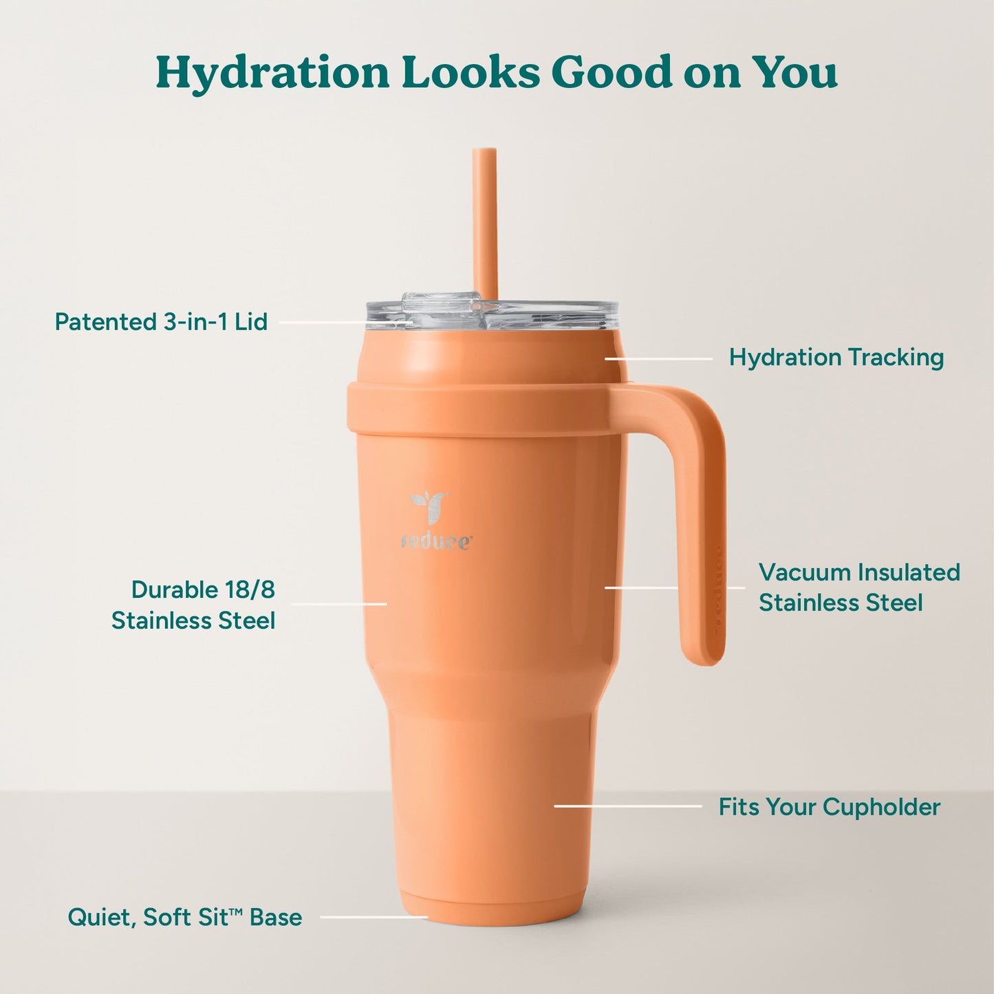 cold1-40-oz-f7 Cold1_40oz_Papaya_Infographic_2.jpg