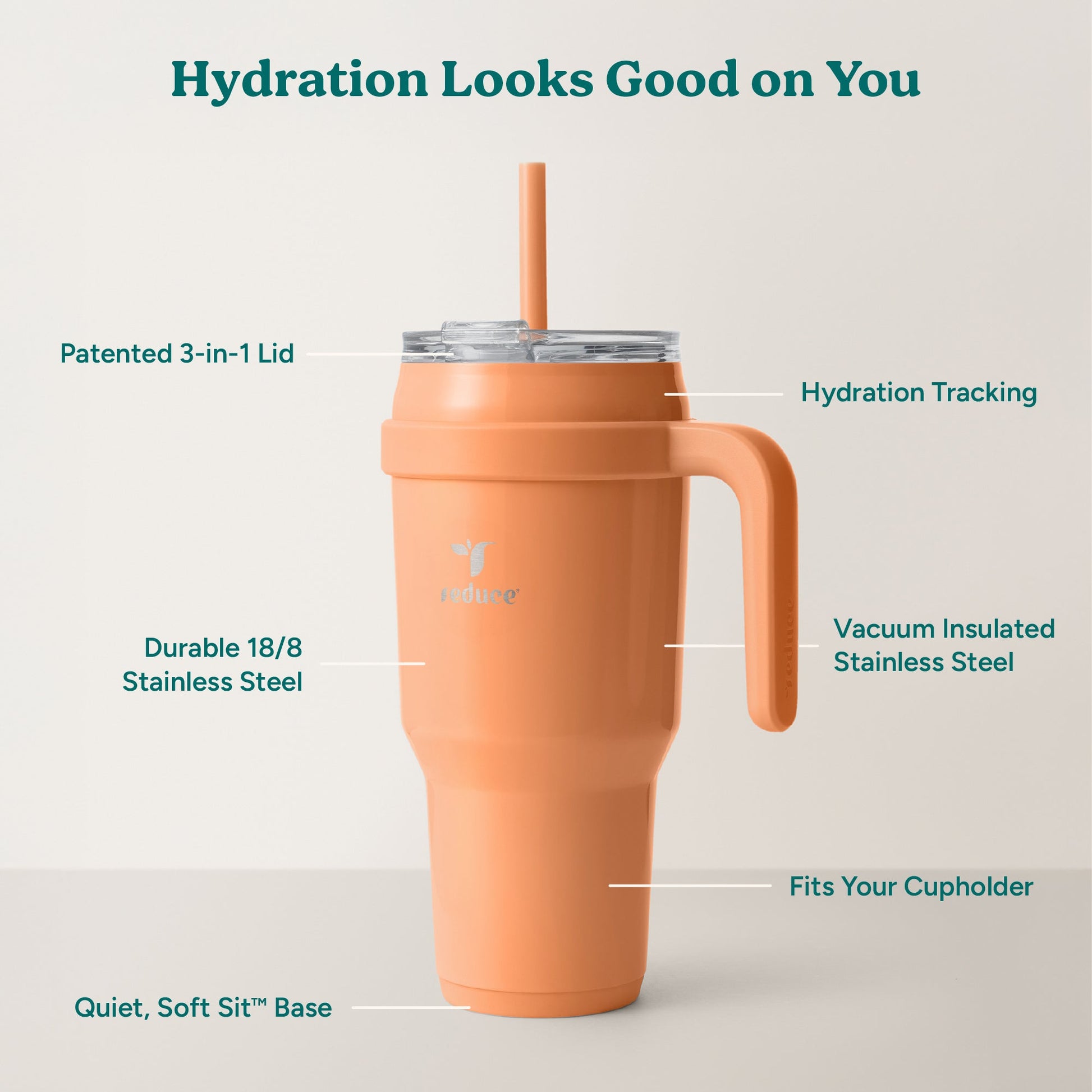 cold1-40-oz-f7 Cold1_40oz_Papaya_Infographic_2.jpg