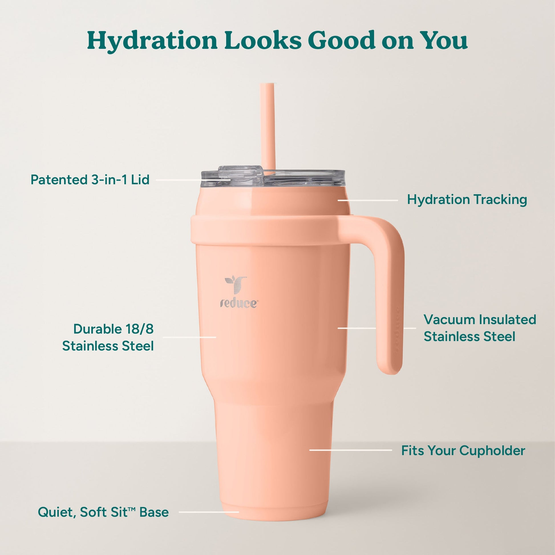 cold1-40-oz-f7 Cold1_40oz_Sedona_Infographic_2.jpg