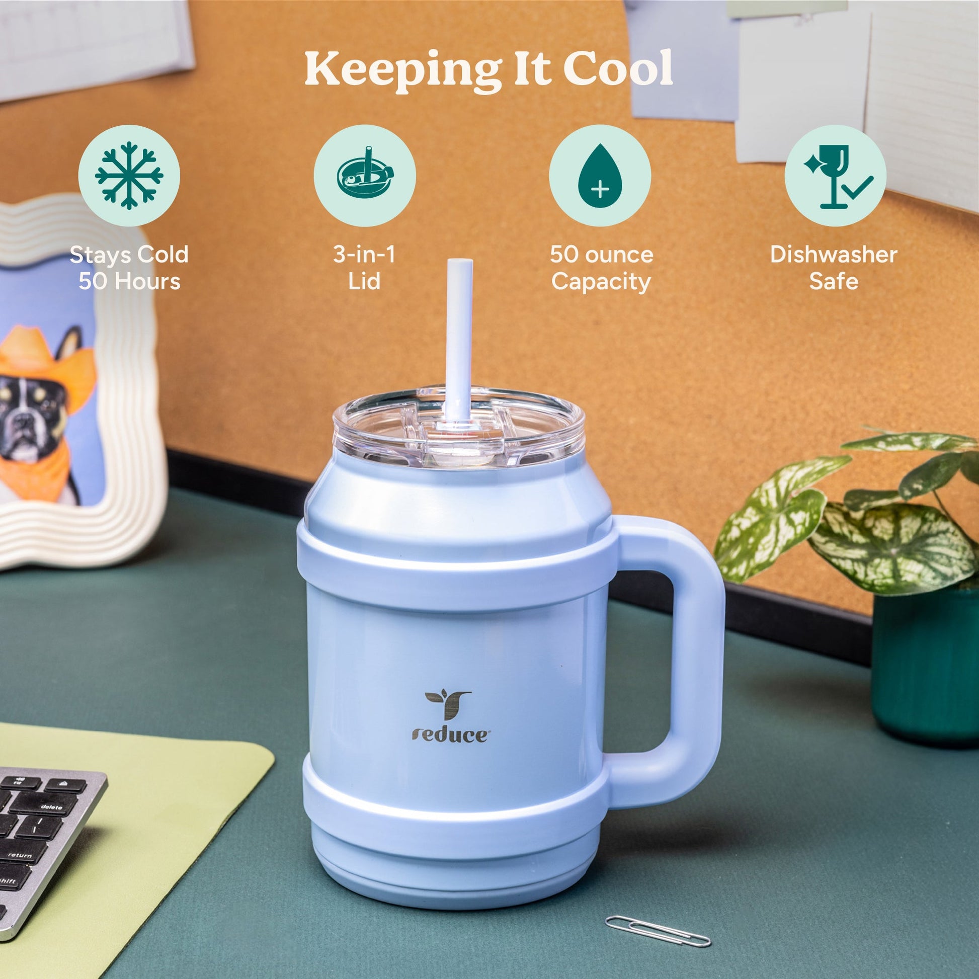 cold1-desktop-50-oz-l6 Cold1_50oz_Desktop_LilacBud_Infographic_1.jpg